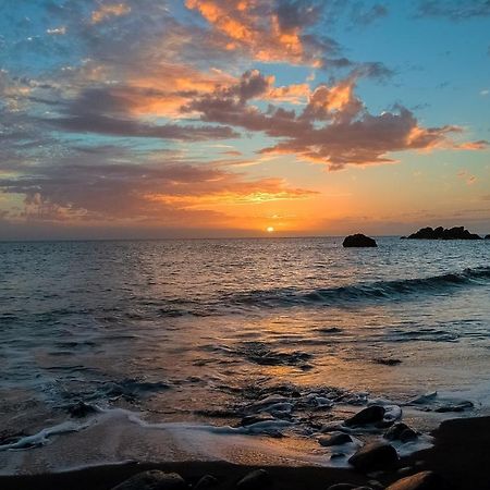Madalena do MarMadalena Sunset By Madeira Sun Travelアパートメント エクステリア 写真